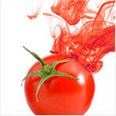 img-tomate